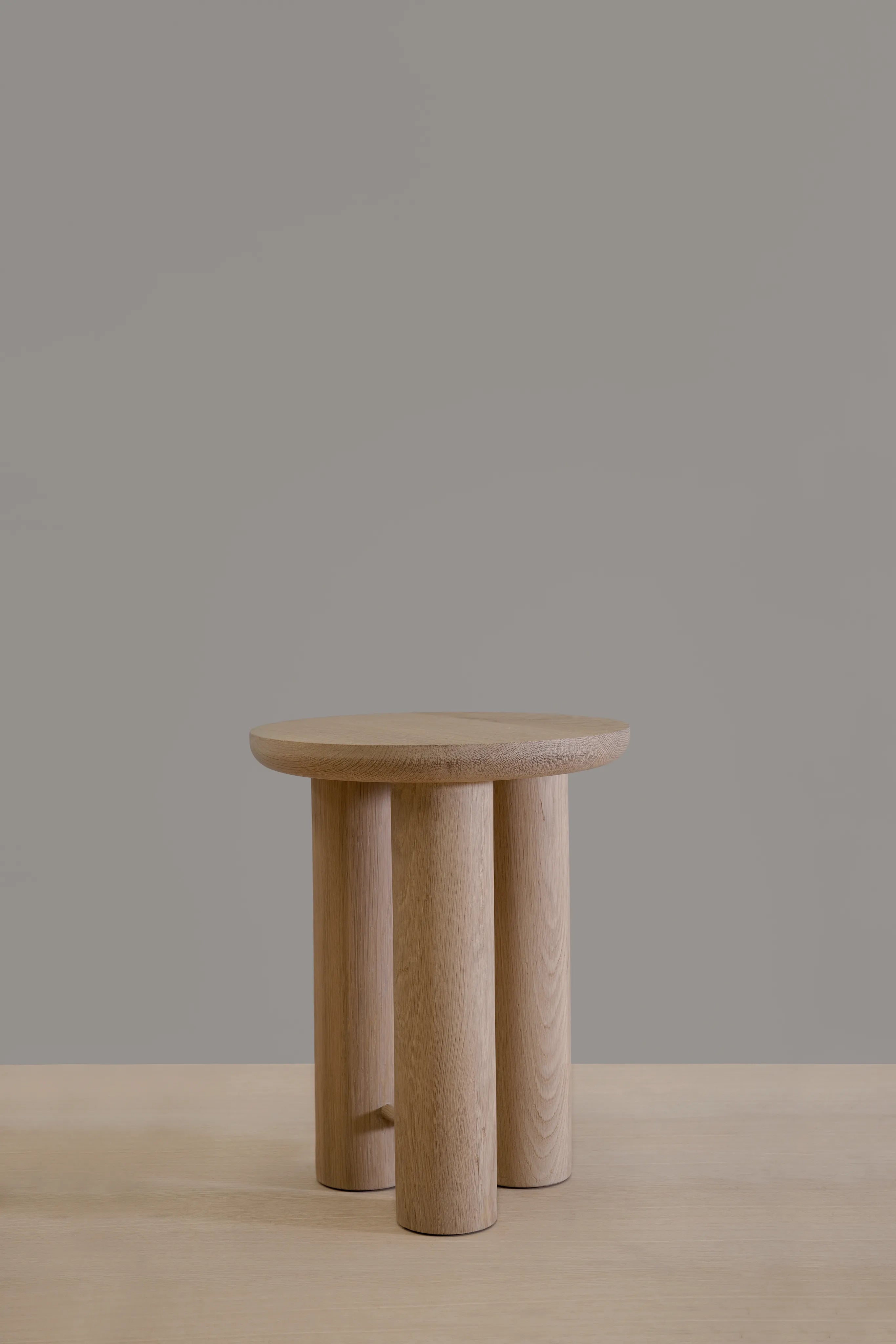Mesa Antropología 2